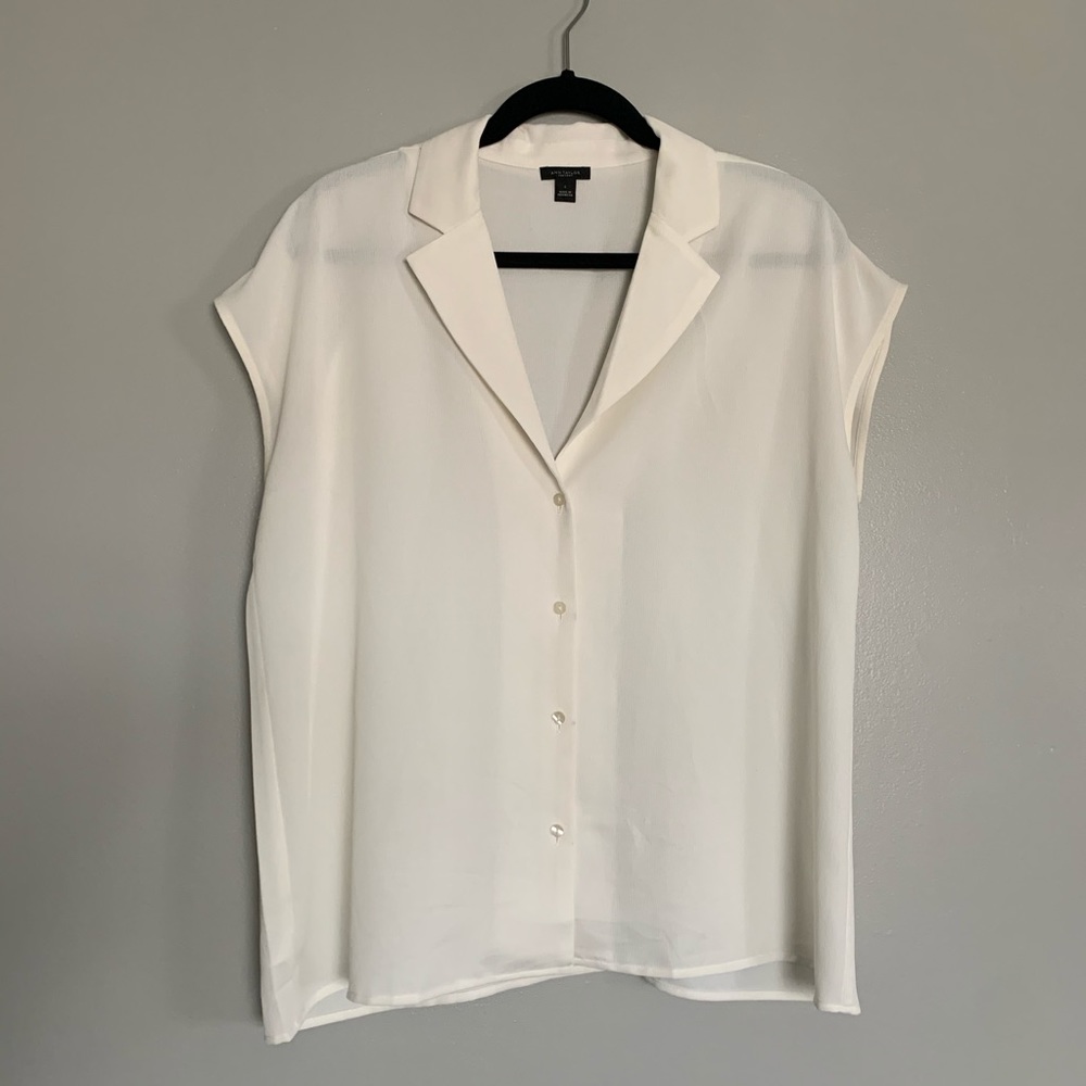 Ann Taylor Blouse